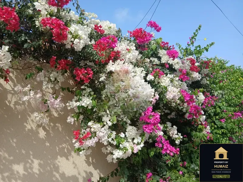 500 Sq. Yd. Residential Plot (Boulevard Facing, Parcel 11) in Zone E For Sale in DHA Phase 8 Karachi — Photograph 11