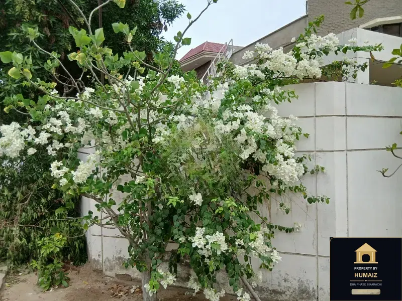 500 Sq. Yd. Residential Plot (Boulevard Facing, Parcel 11) in Zone E For Sale in DHA Phase 8 Karachi — Photograph 2