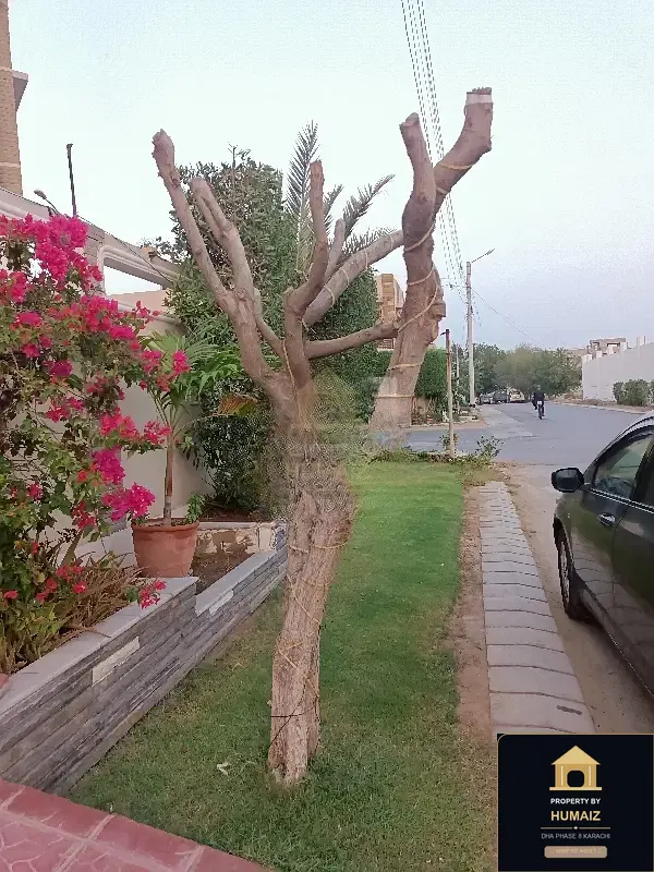 500 Sq. Yd. Residential Plot (Corner, Parcel 1) in Zone A For Sale in DHA Phase 8 Karachi — Photograph 17